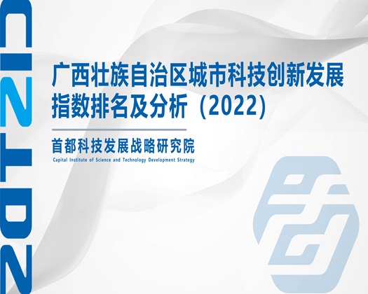 啊嗯不要骚货【成果发布】广西壮族自治区城市科技创新发展指数排名及分析（2022）